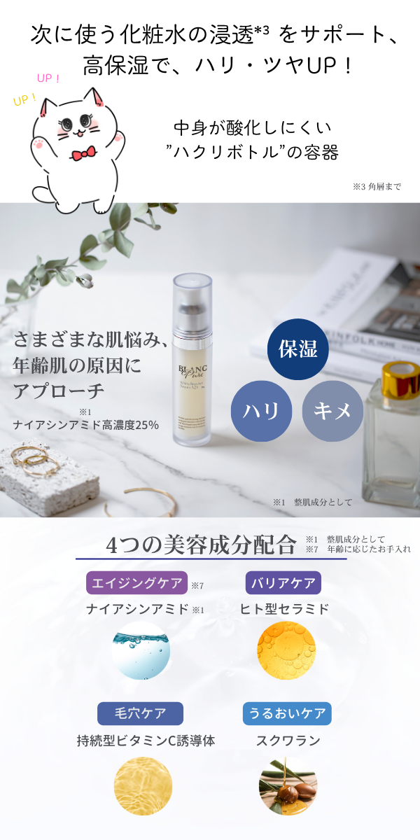 応募方法イメージ