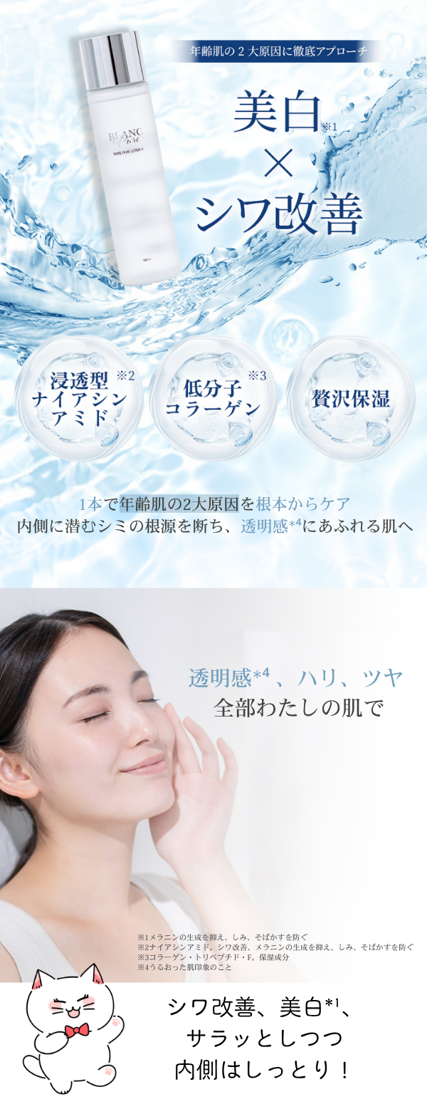 応募方法イメージ