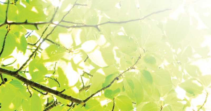 紫外線について