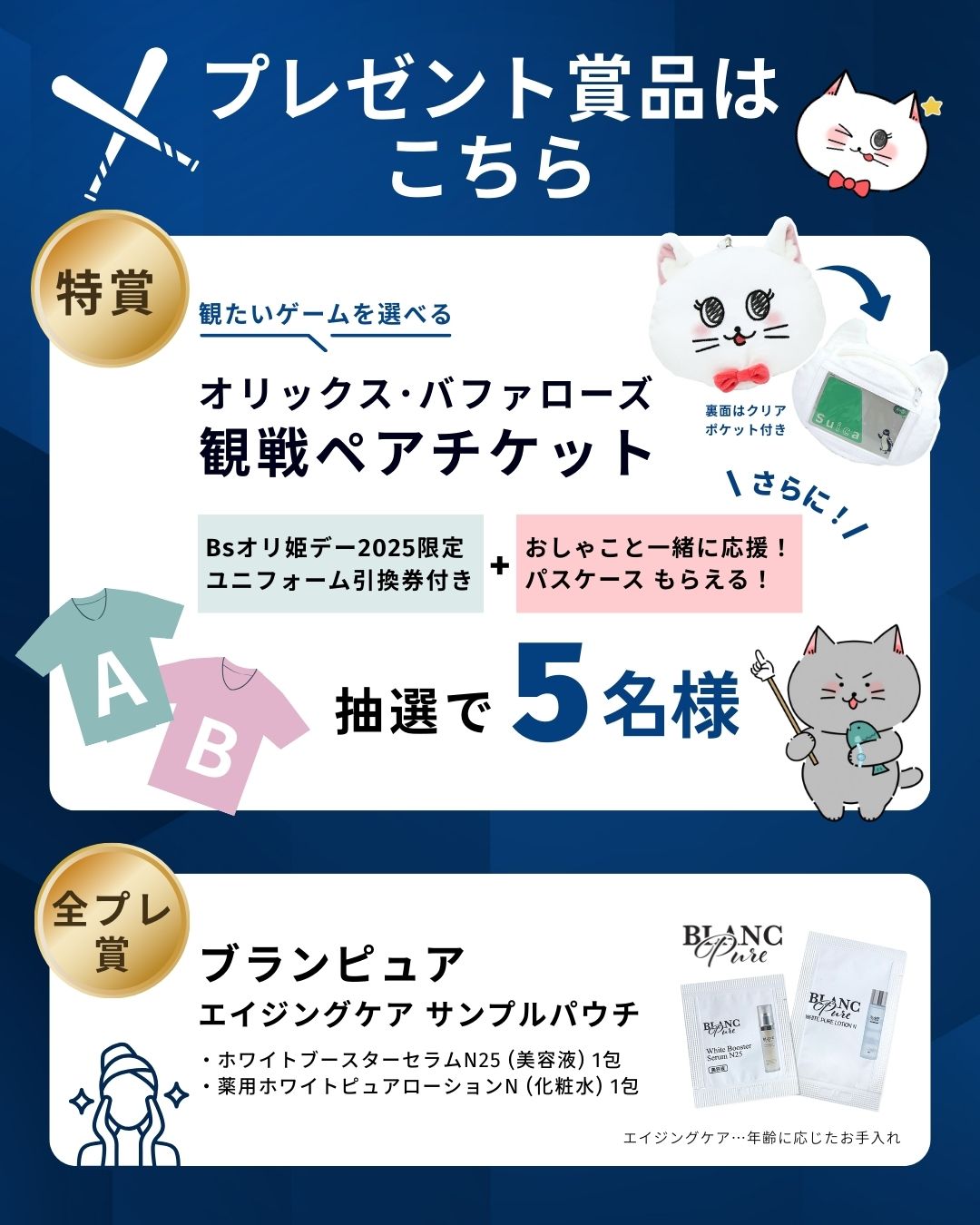 プレゼント賞品のイメージ