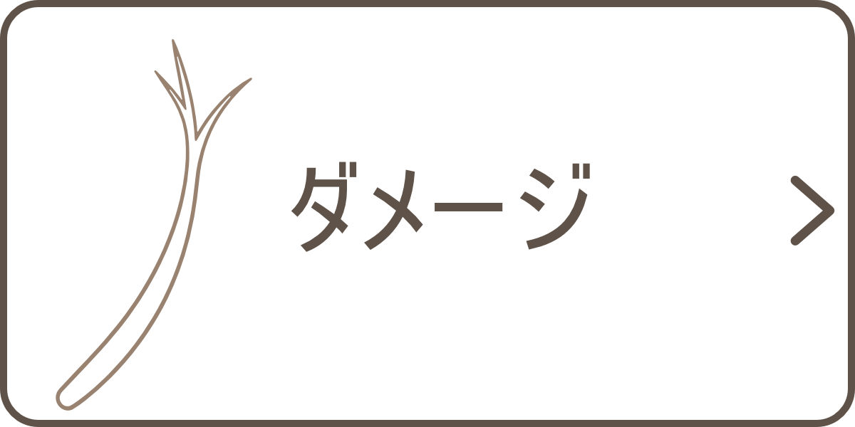 ダメージ