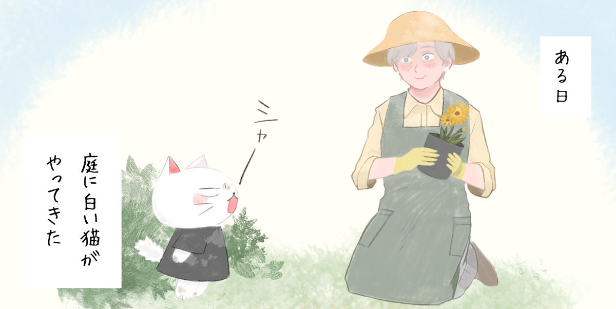ある日庭に白い猫がやってきた-おしゃこ始まりの物語
