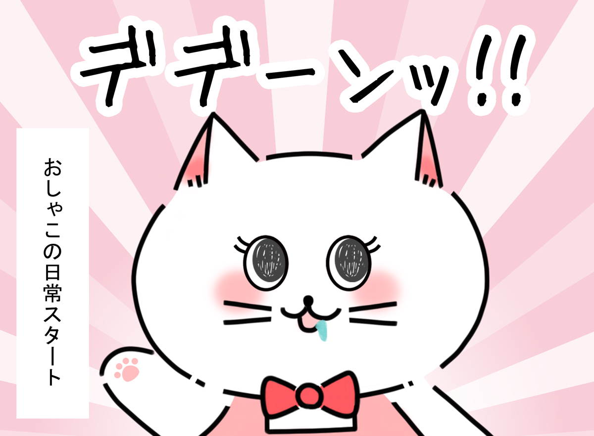 おしゃこの日常スタート-おしゃこ始まりの物語