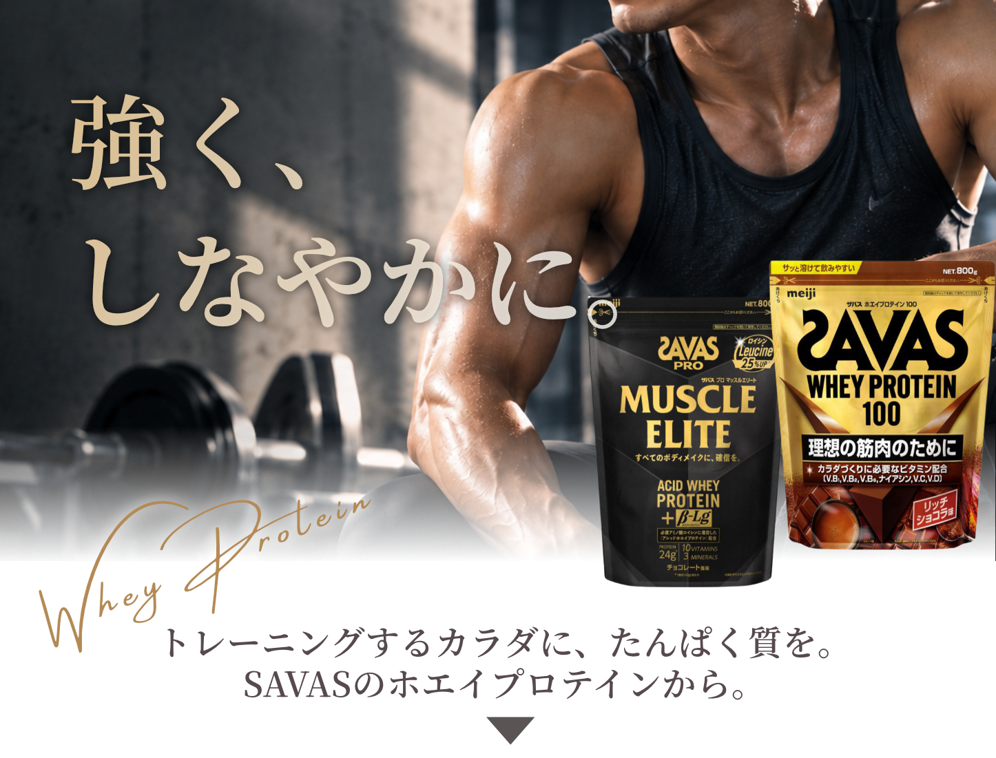 強く、しなやかに。トレーニングするカラダに、たんぱく質を。SAVASのホエイプロテインから