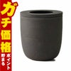 通販　マーナ marna K770BK コーヒーかす消臭ポット(ブラック)