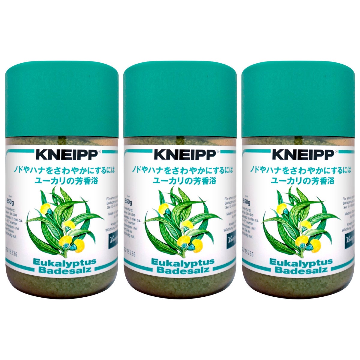 コスメ通販　【セット】クナイプ バスソルト 850g ユーカリ×3個【バスソルト】【医薬部外品】KNEIPP