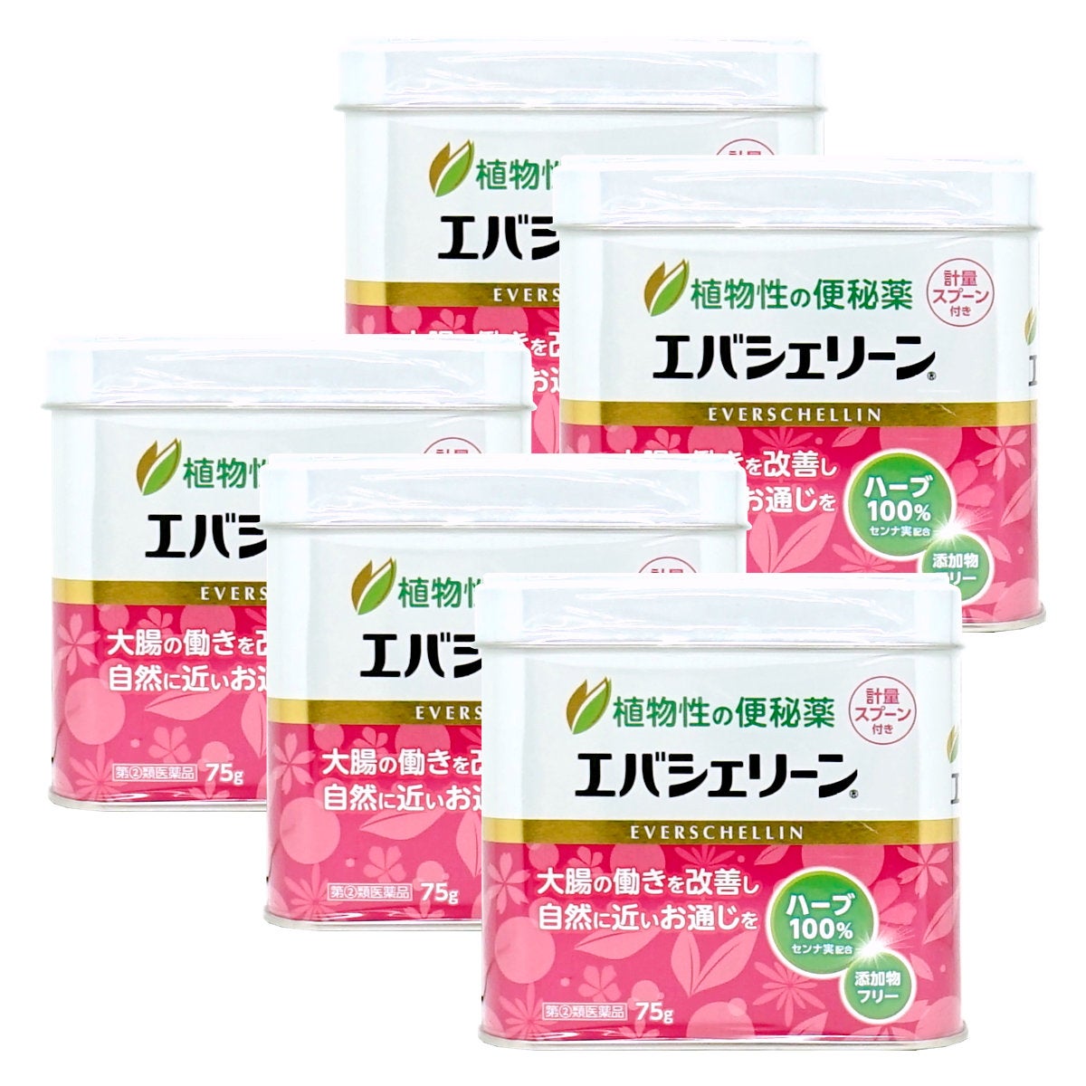【指定第2類医薬品】【セット】エバシェリーン 75g×5個