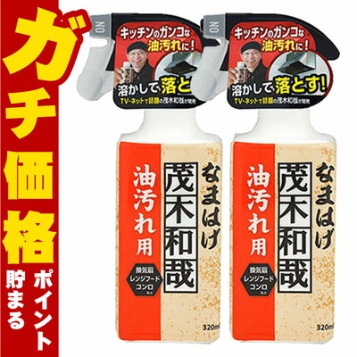【セット】レック 茂木和哉なまはげ 油汚れ用 320ml×2個 C00250
