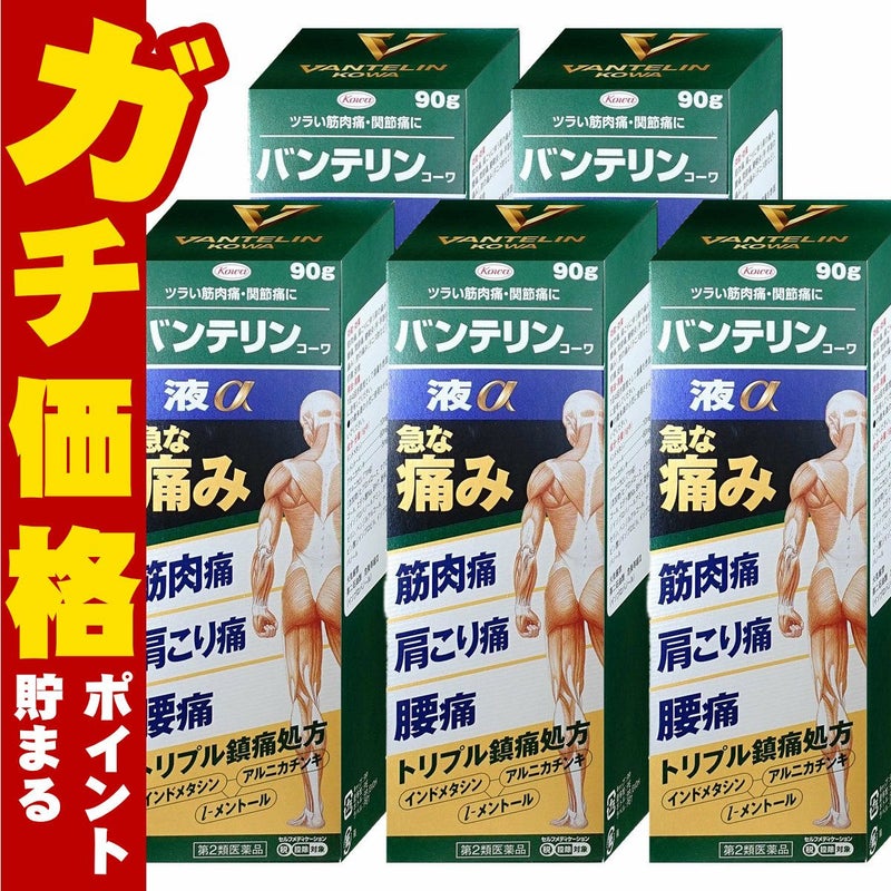 バンテリンコーワ液α 90g×5個