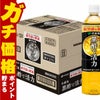 賞味期限26年2月以降 伊藤園 黒酢で活力 900ml×12本入り