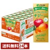 賞味期限26年2月以降 伊藤園 アップルマンゴーサジーミックス200ml×24本入り