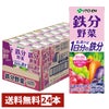 賞味期限26年1月以降 伊藤園 鉄分野菜 200ml×24本入り 紙パック 野菜飲料 1日分の鉄分 鉄分 ビタミンB12 葉酸