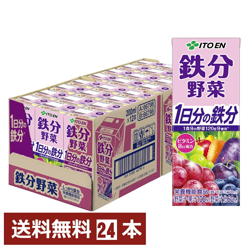 賞味期限26年1月以降 伊藤園 鉄分野菜 200ml×24本入り 紙パック 野菜飲料 1日分の鉄分 鉄分 ビタミンB12 葉酸
