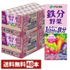 伊藤園 鉄分野菜 200ml×48本入り