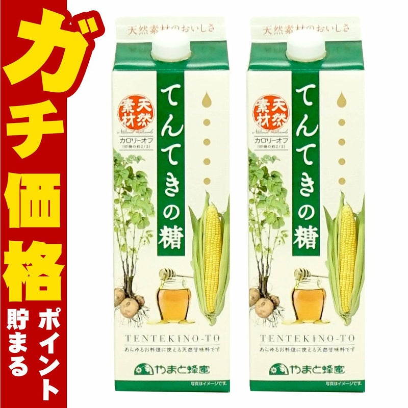 天然甘味料 てんてきの糖ジャビー 1200g×2個 紙パック 調味料 砂糖代用 ジャビー やまと蜂蜜